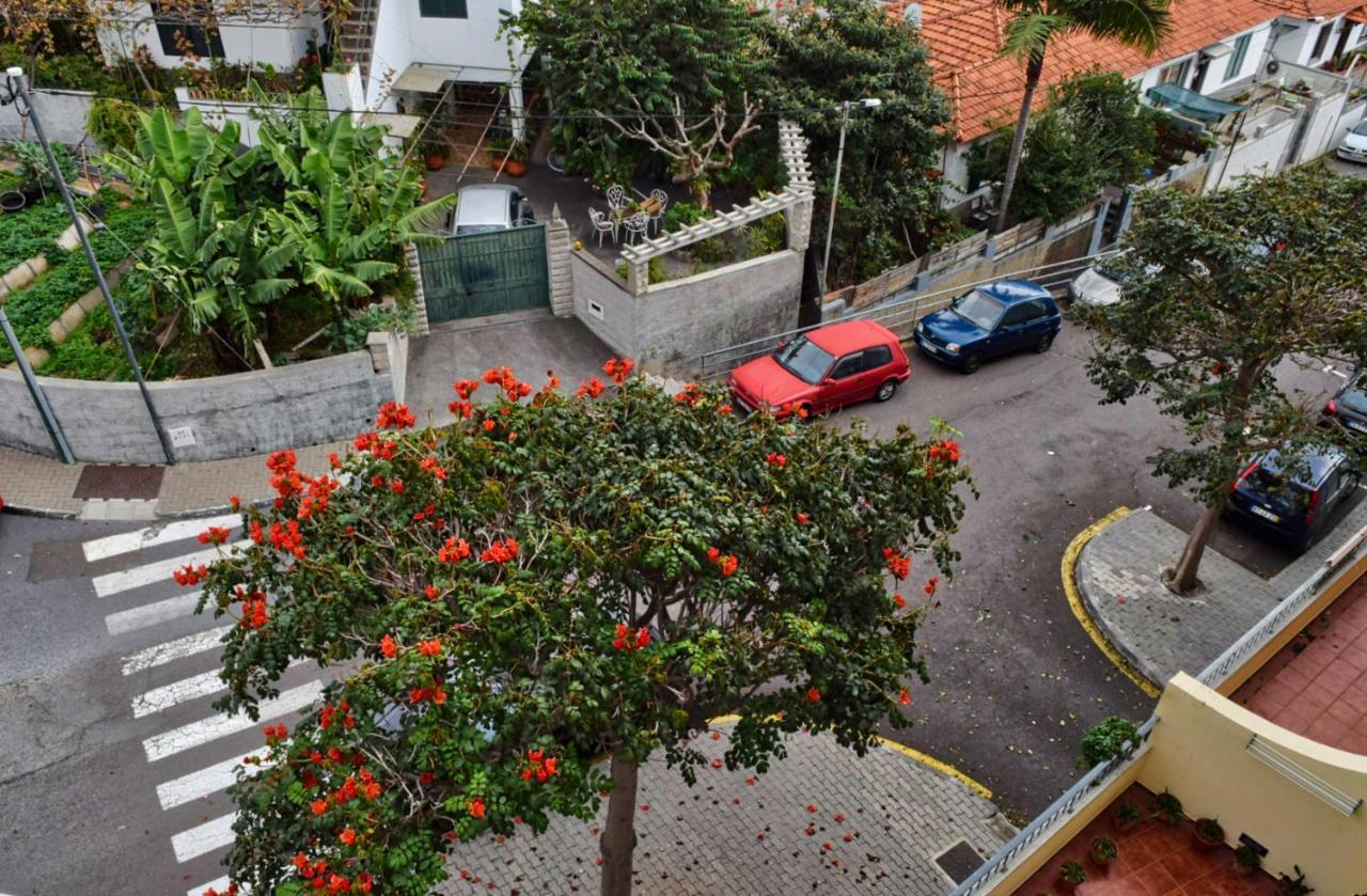 Perola, A Home In Madeira Funchal  Eksteriør bilde